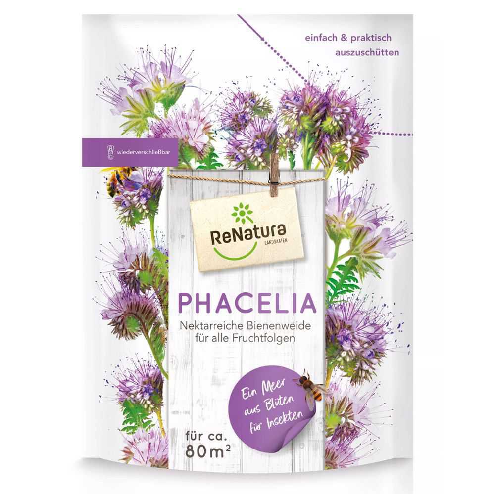 Phacelia Saatgut 500