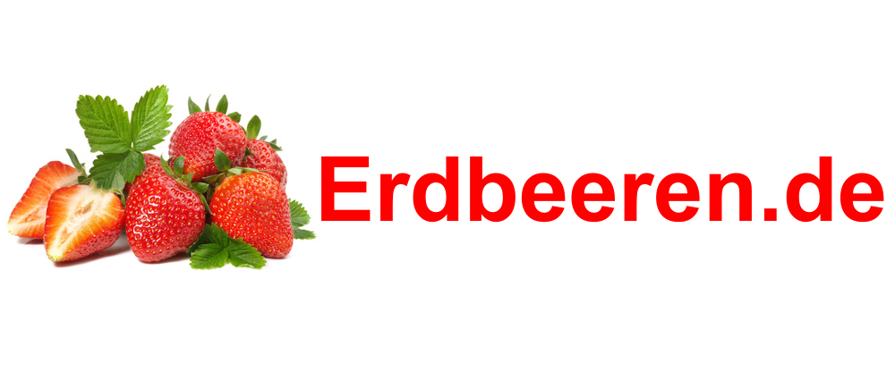 Zur Startseite gehen