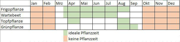Dieser Erdbeerpflanzkalender gibt Aufschluss 