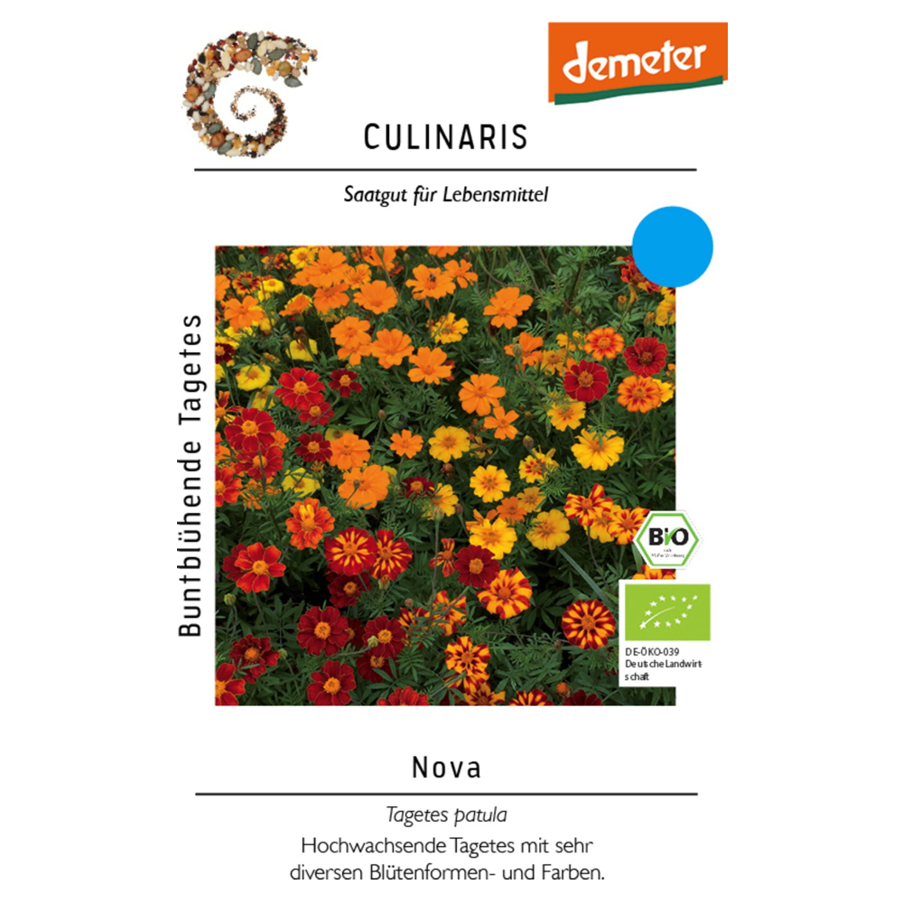 Tagetes Saatgut